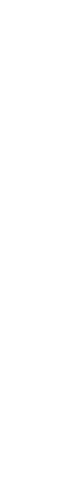 brand-element-vertical-long-white
